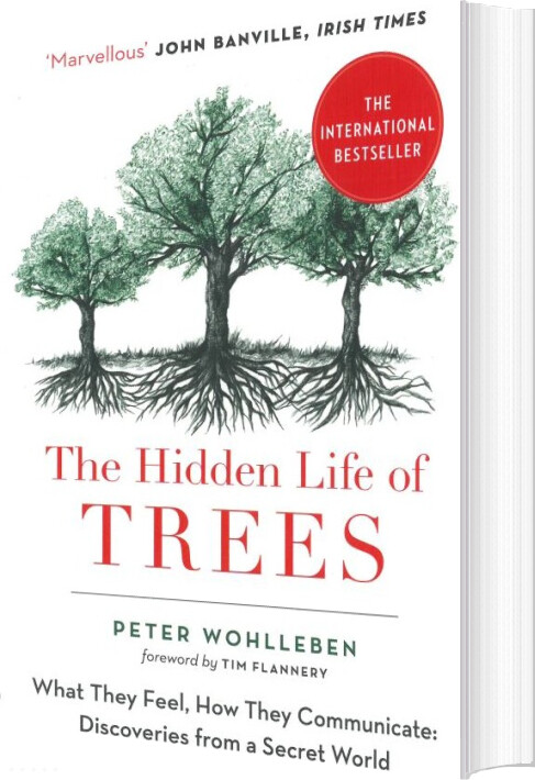 Billede af The Hidden Life Of Trees: What They Feel, How They Communicate - Peter Wohlleben - English Book