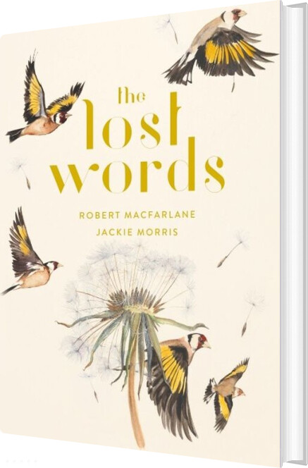 The Lost Words - Jackie Morris - English Book