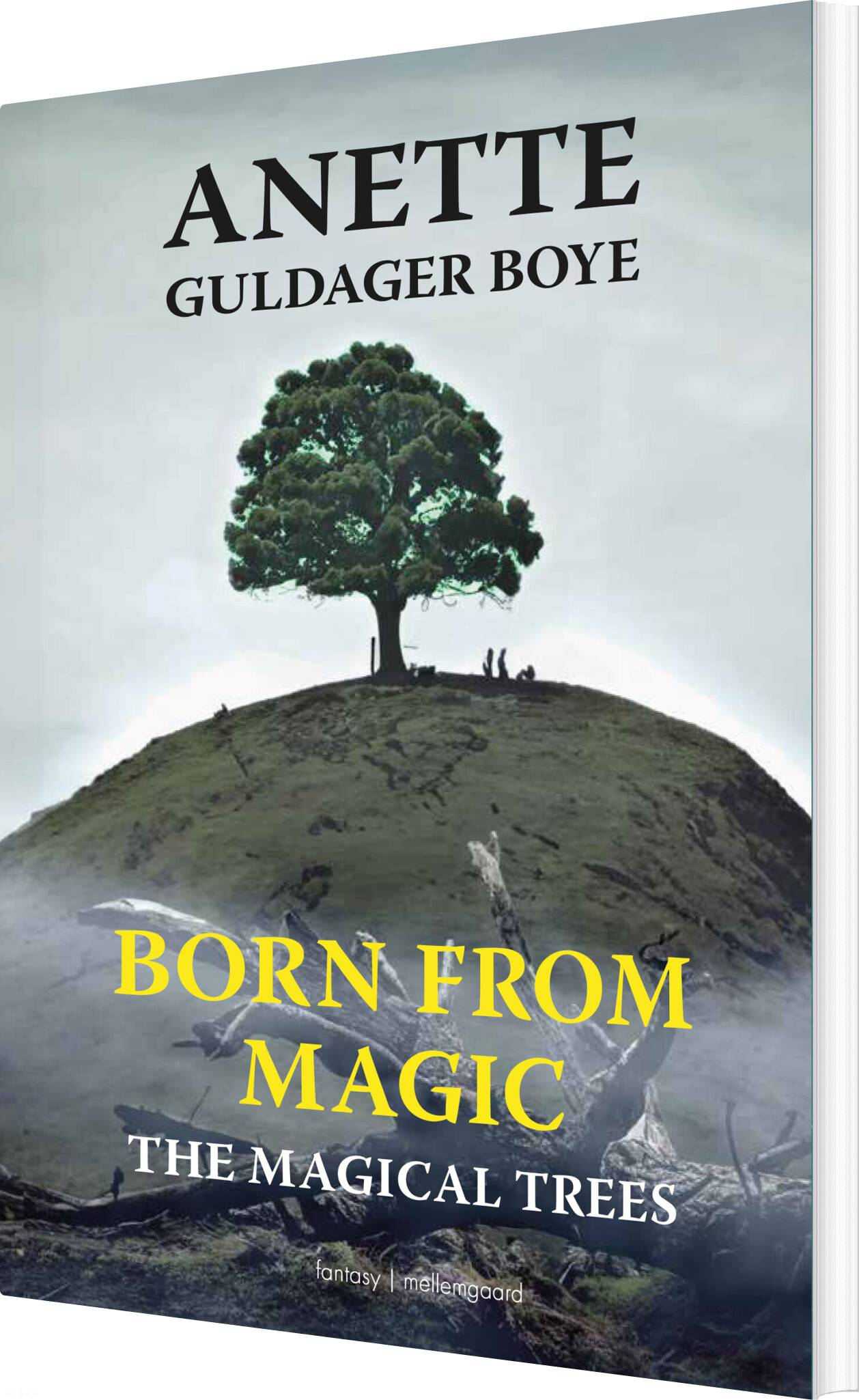 The Magical Trees - Anette Guldager Boye - English Book