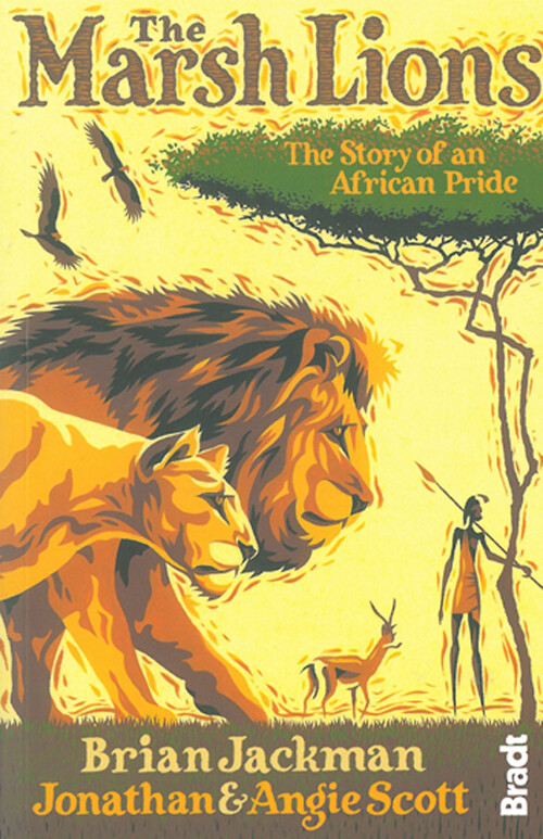 Billede af The Marsh Lions - Jonathan Scott - English Book