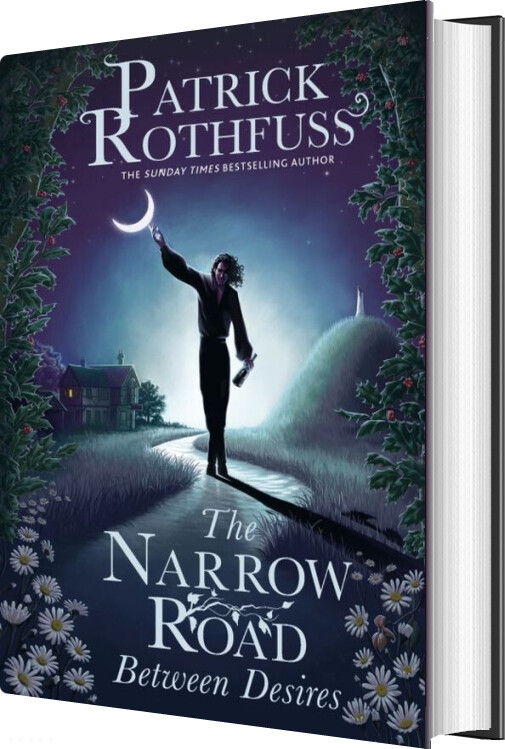 The Narrow Road Between Desires - Patrick Rothfuss - English Book