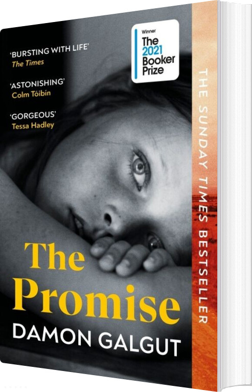 Billede af The Promise - Damon Galgut - English Book