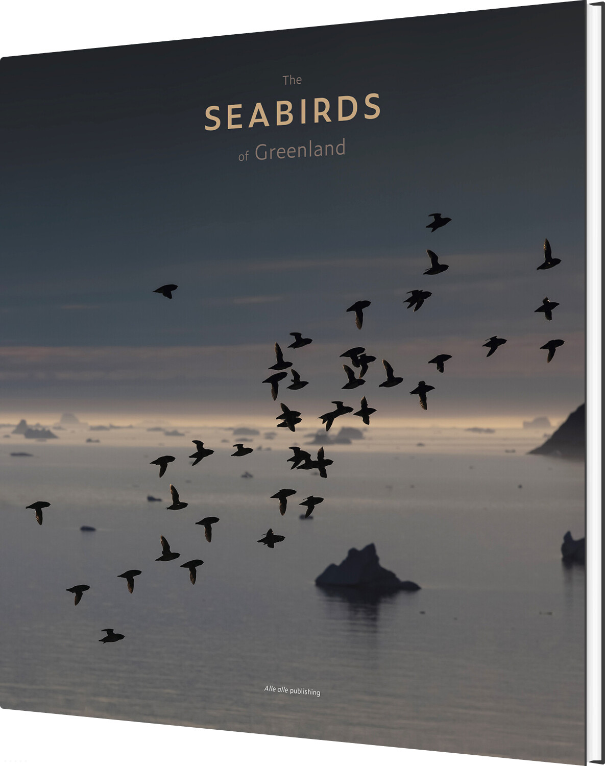 The Seabirds Of Greenland - Morten Frederiksen - English Book