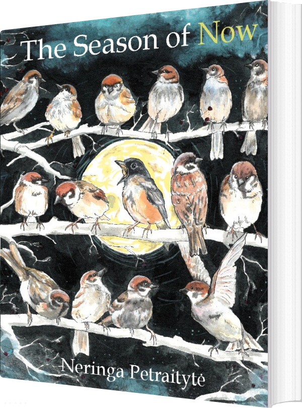 The Season Of Now - Neringa Petraityte - English Book