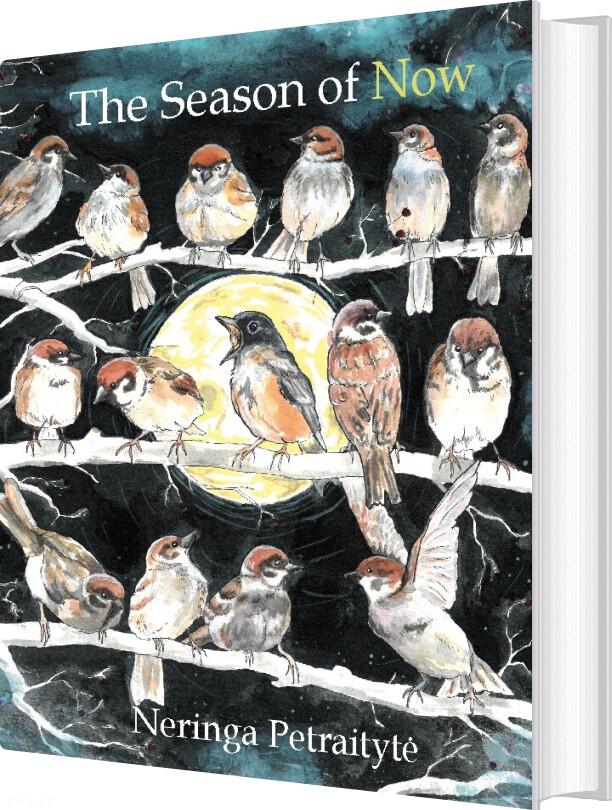 The Season Of Now - Neringa Petraityte - English Book