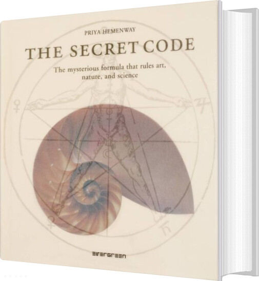 The Secret Code - Priya Hemenway - English Book