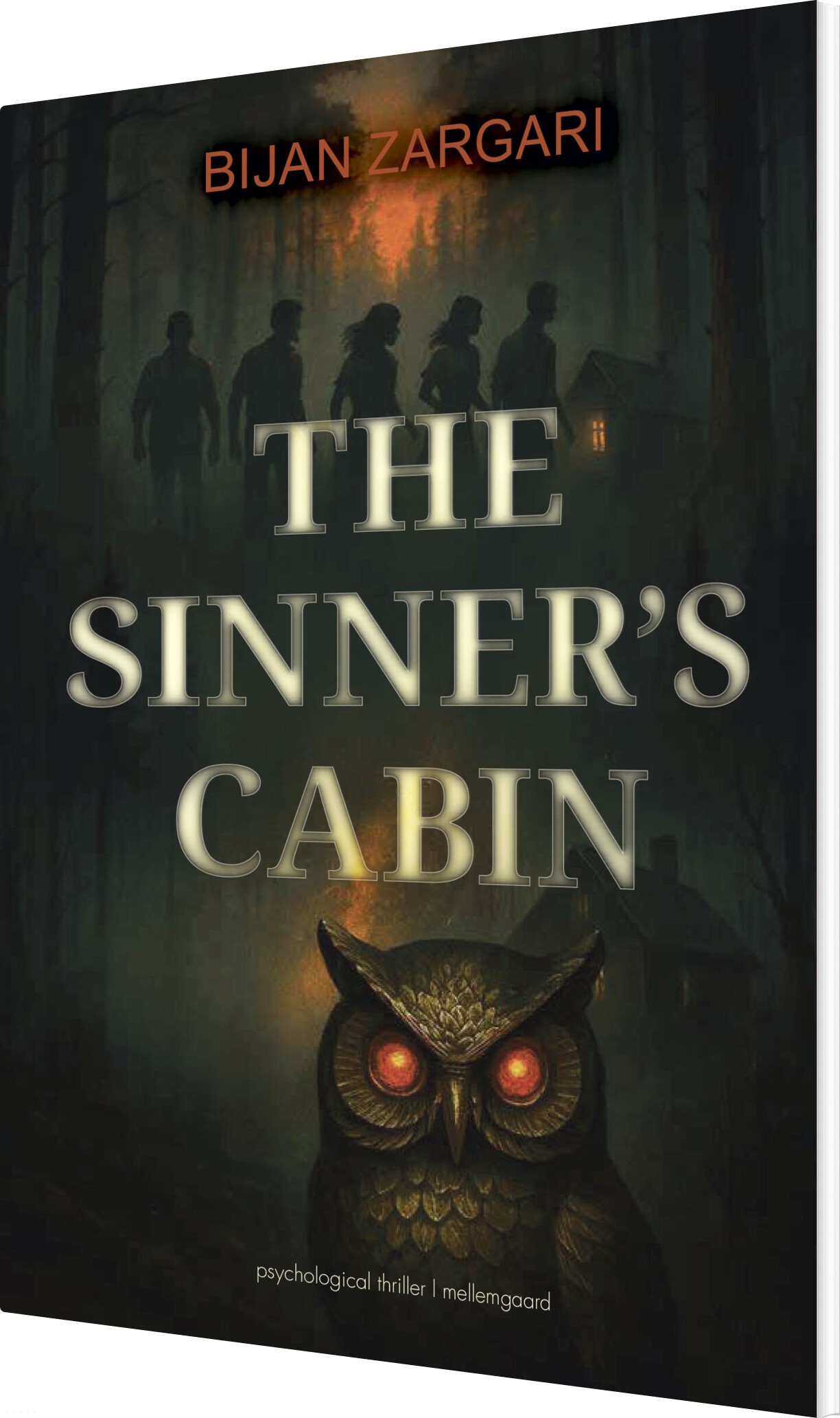 The Sinner's Cabin - Bijan Zargari - Bog