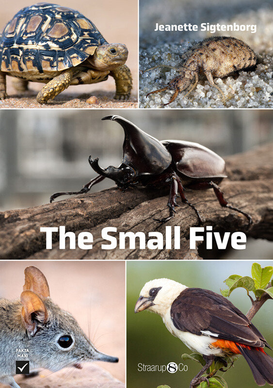 The Small Five - Jeanette Sigtenborg - Bog - Straarup & Co