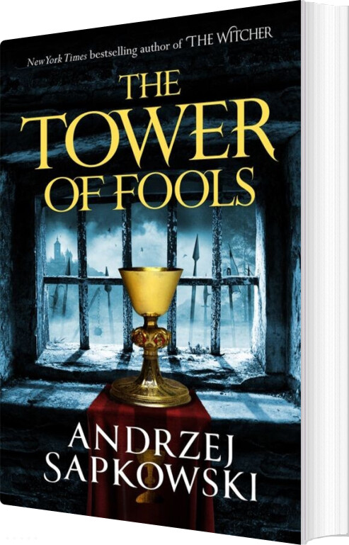 The Tower Of Fools - Andrzej Sapkowski - English Book