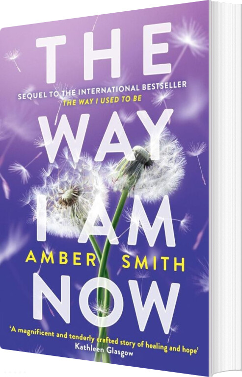 Billede af The Way I Am Now - Amber Smith - English Book