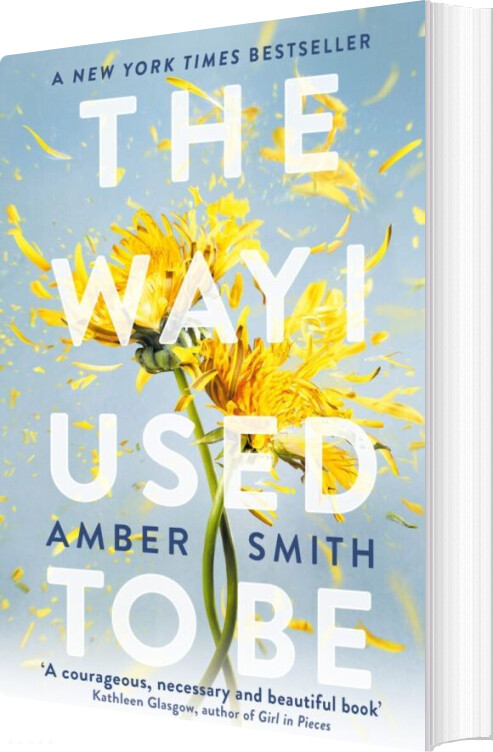 Billede af The Way I Used To Be - Amber Smith - English Book
