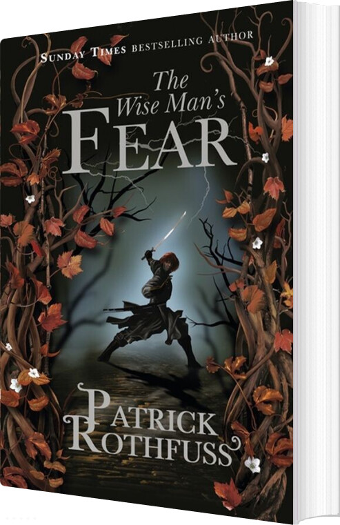 The Wise Man's Fear - Patrick Rothfuss - English Book