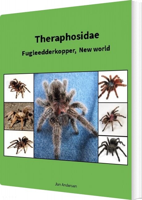 Billede af Theraphosidae - Jan Andersen - Bog