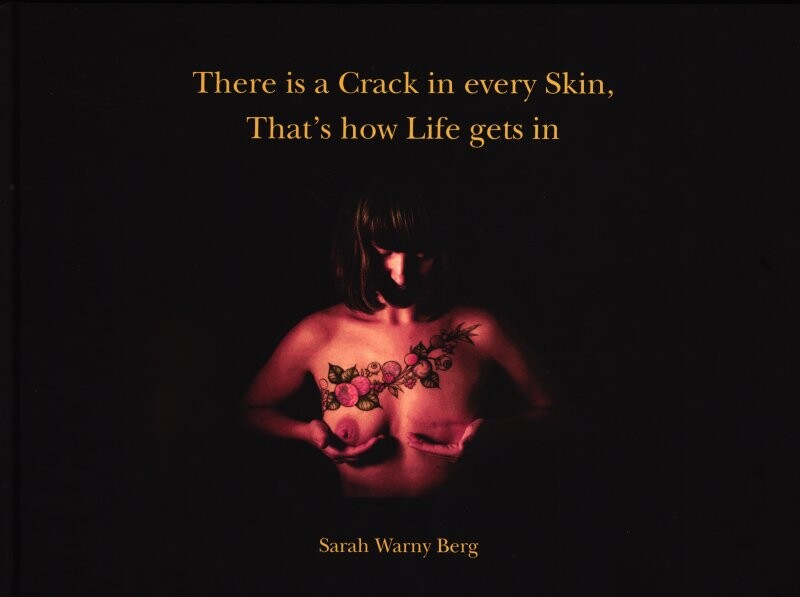 There Is A Crack In Ever Skin, That's How Life Gets In - Sarah Warny Berg - Bog