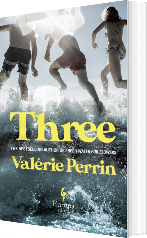 Three - Valérie Perrin - English Book