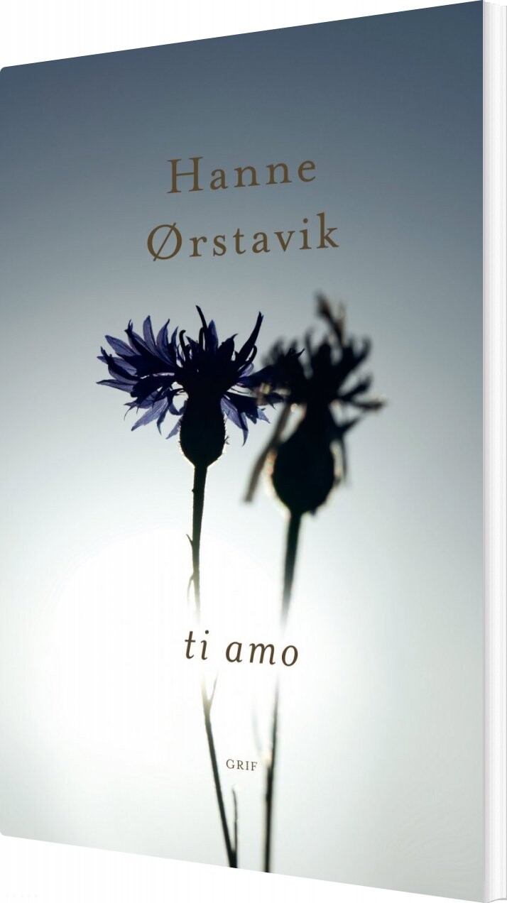 Billede af Ti Amo - Hanne ørstavik - Bog