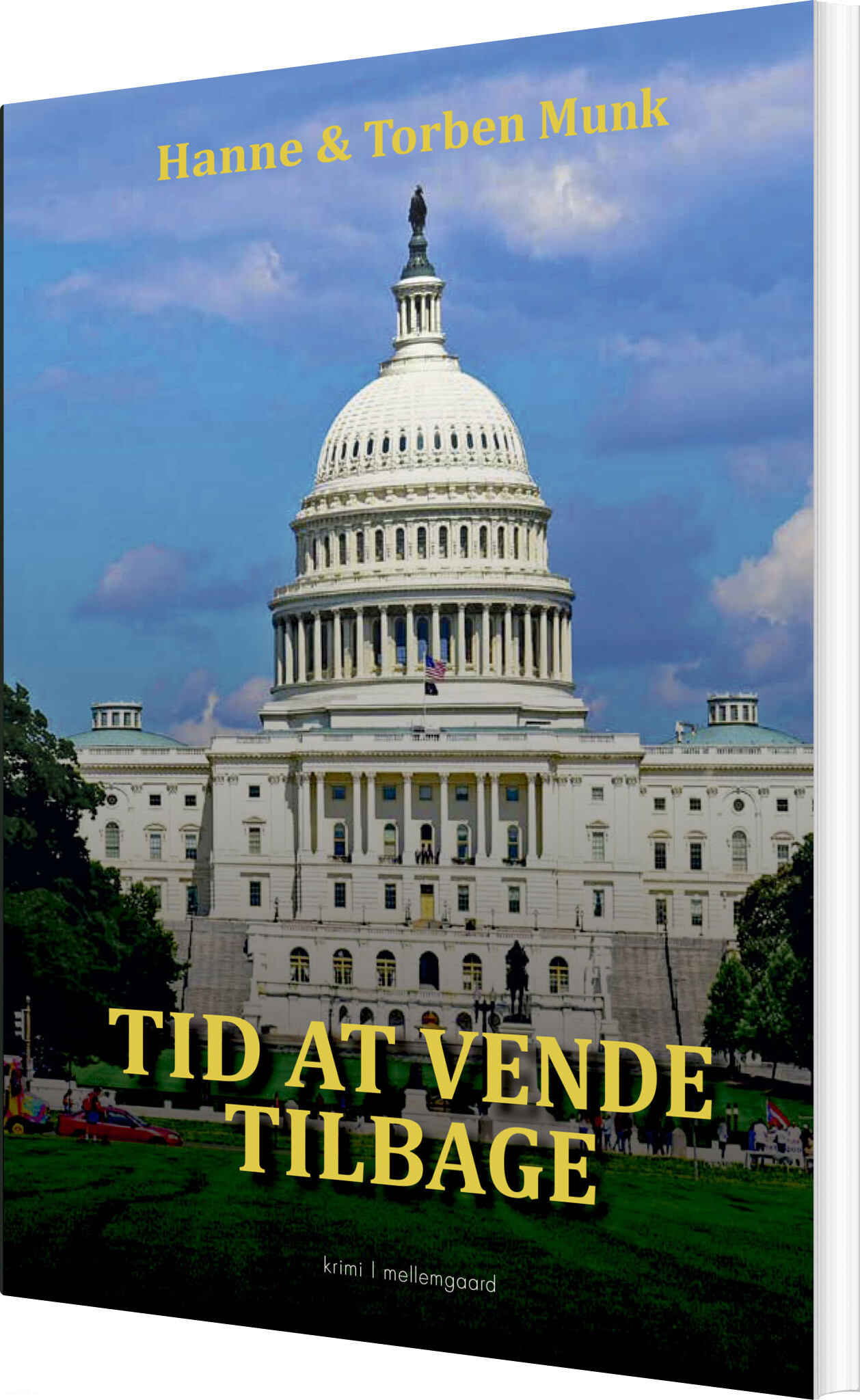 Tid At Vende Tilbage - Hanne - Bog