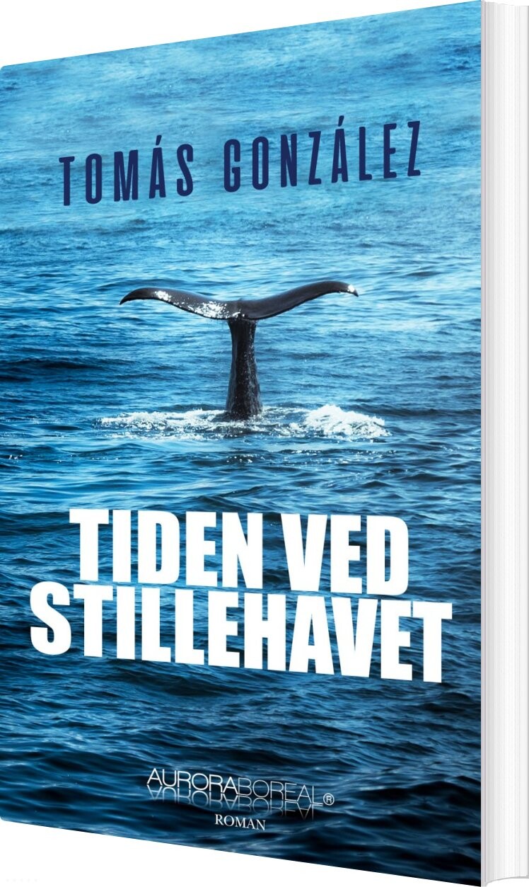 Billede af Tiden Ved Stillehavet - Tomás González - Bog