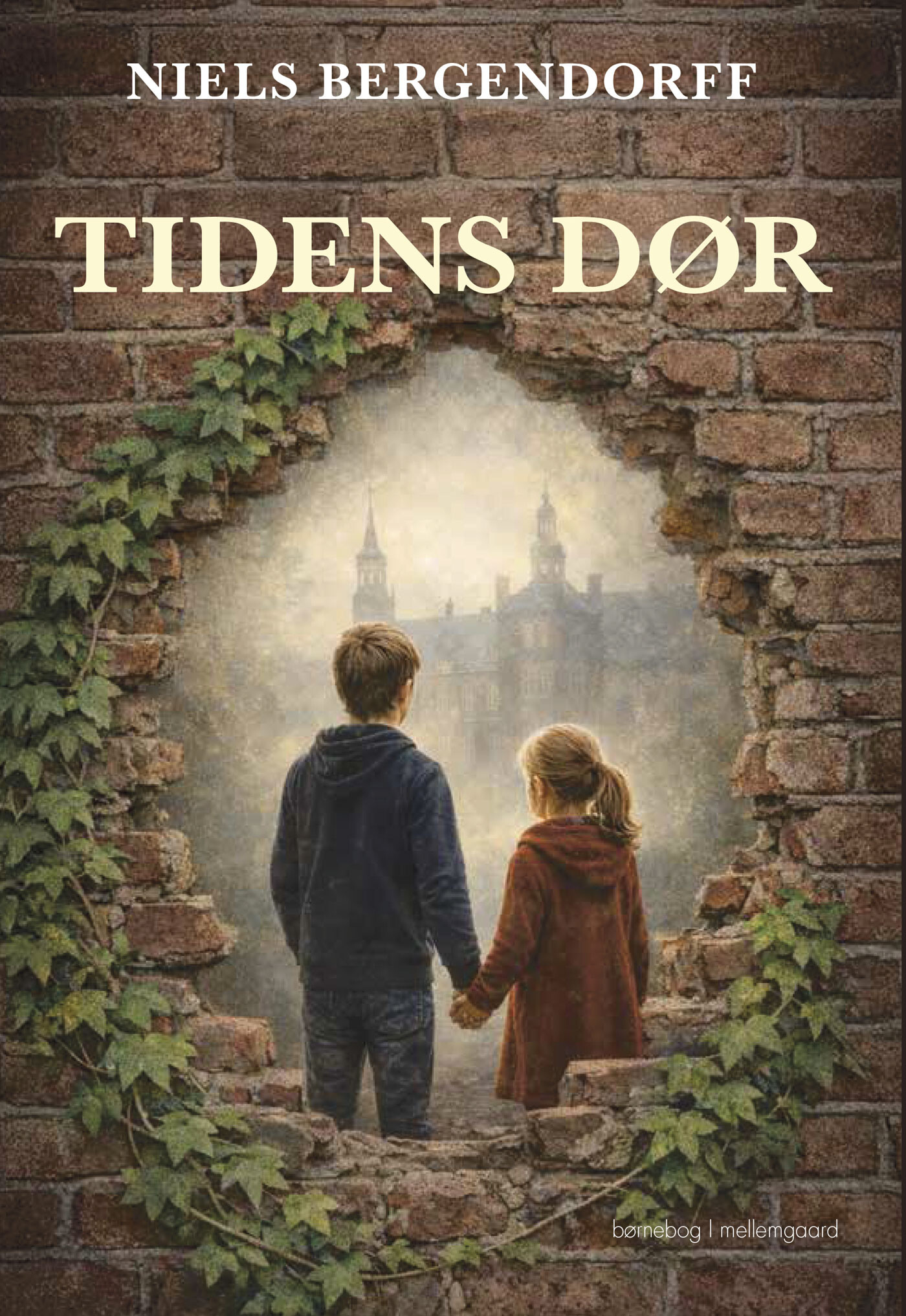 Tidens Dør - Niels Bergendoff - Bog