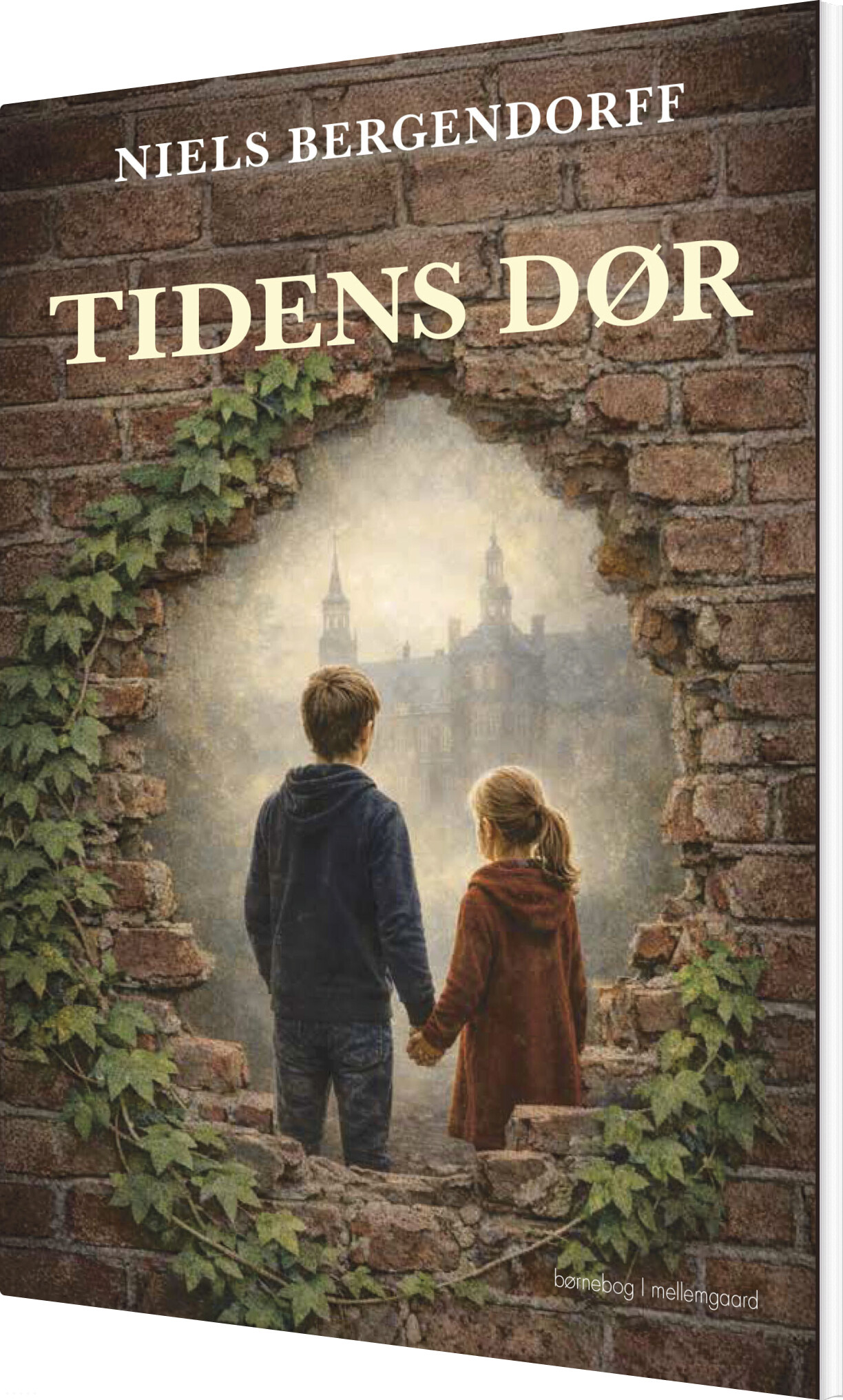 Tidens Dør - Niels Bergendoff - Bog