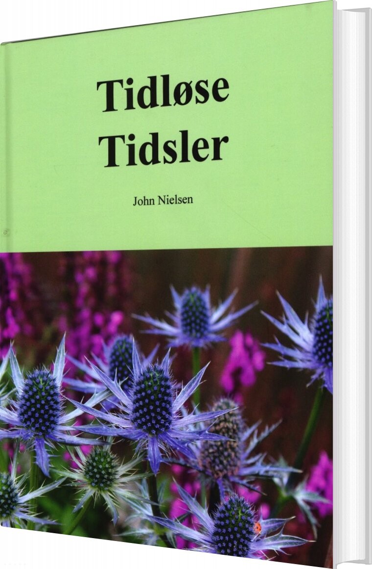 Billede af Tidløse Tidsler - John Nielsen - Bog