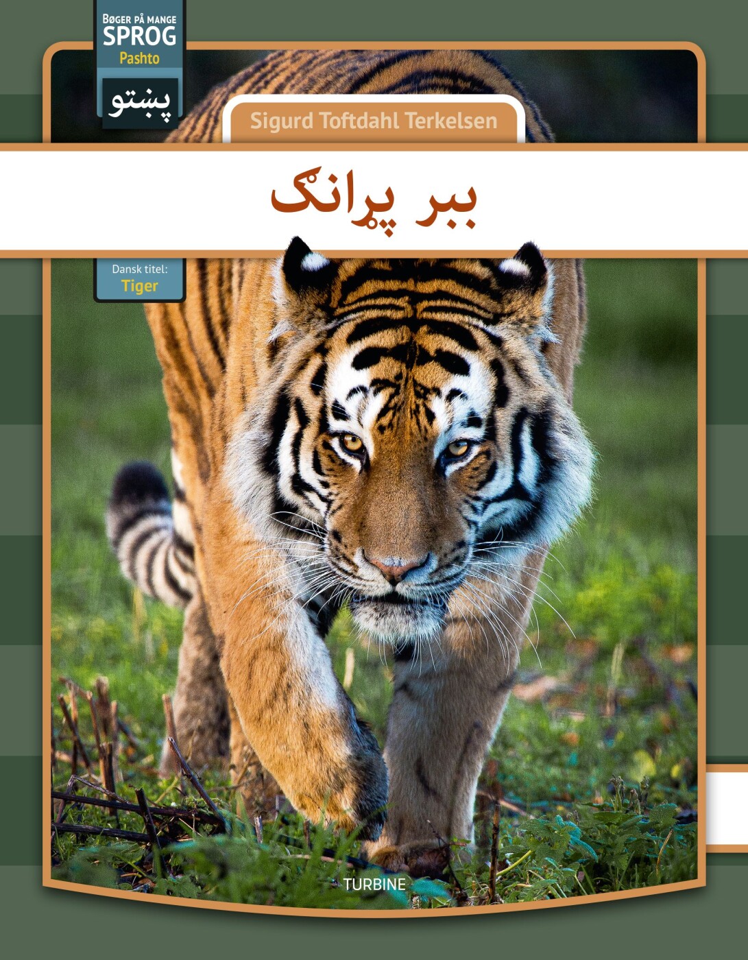 Tiger - Pashto - Sigurd Toftdahl Terkelsen - Bog