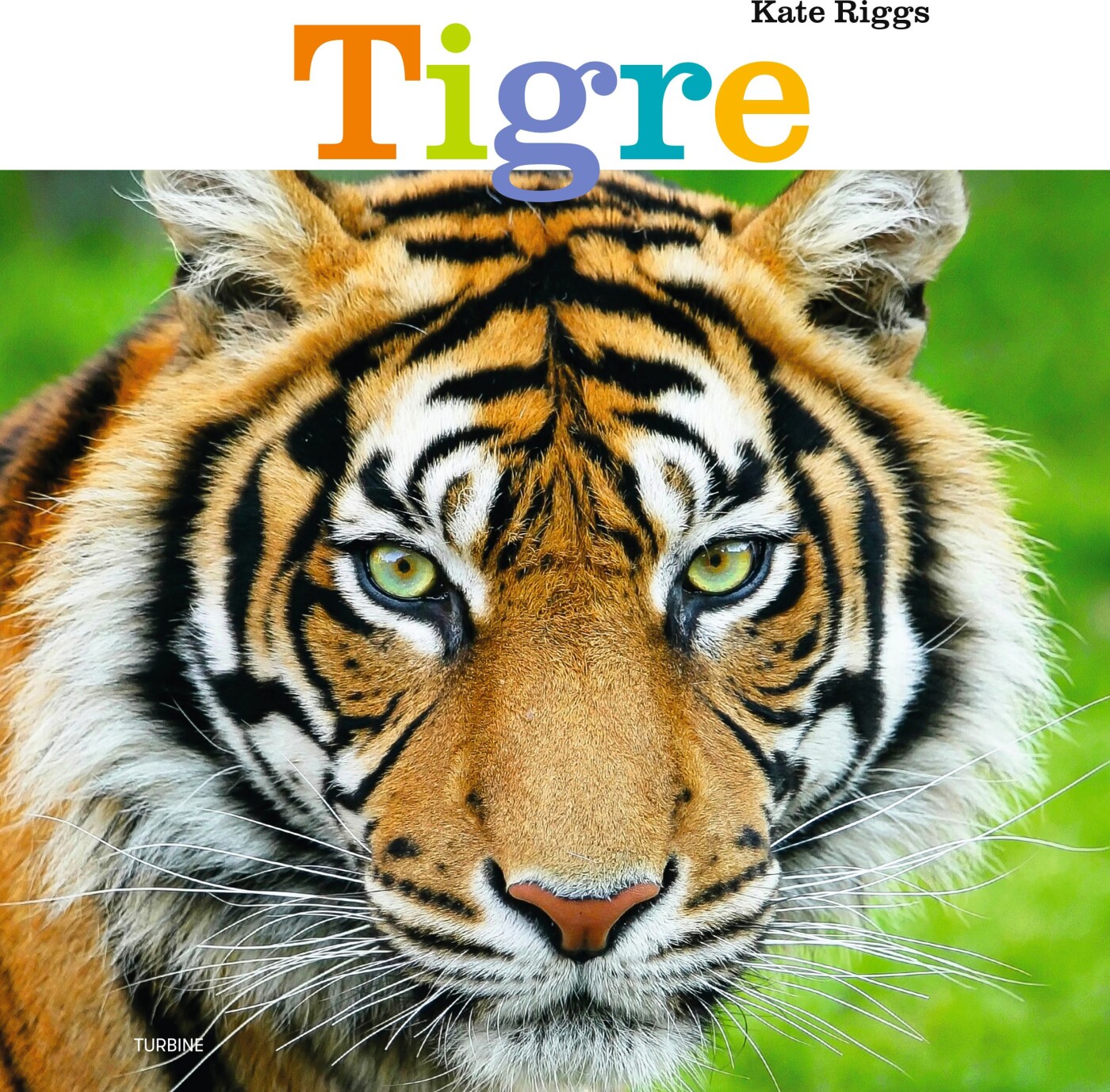 Forside til Tigre - Kate Riggs - Bog