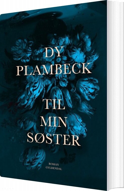 Billede af Til Min Søster - Dy Plambeck - Bog