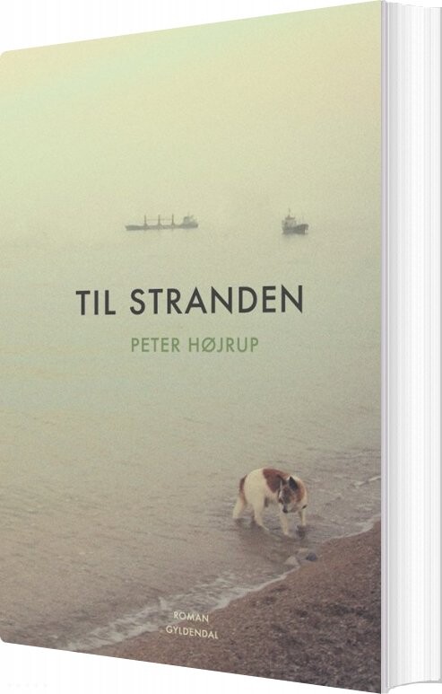Billede af Til Stranden - Peter Højrup - Bog