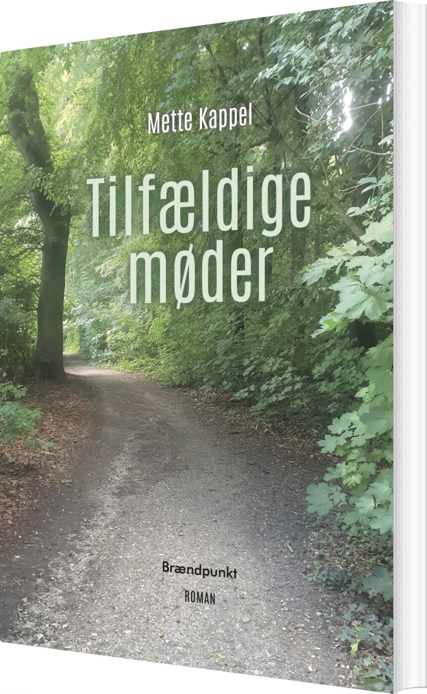 Billede af Tilfældige Møder - Mette Kappel - Bog