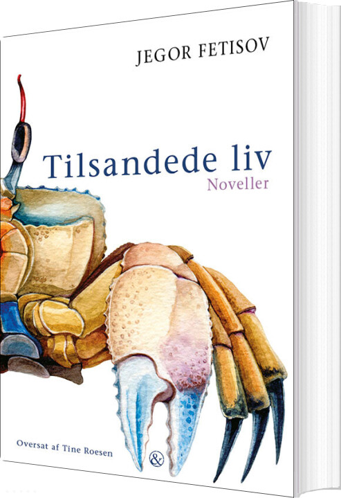 Tilsandede Liv - Jegor Fetisov - Bog