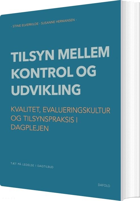 Tilsyn Mellem Kontrol Og Udvikling - Stine Elverkilde - Bog
