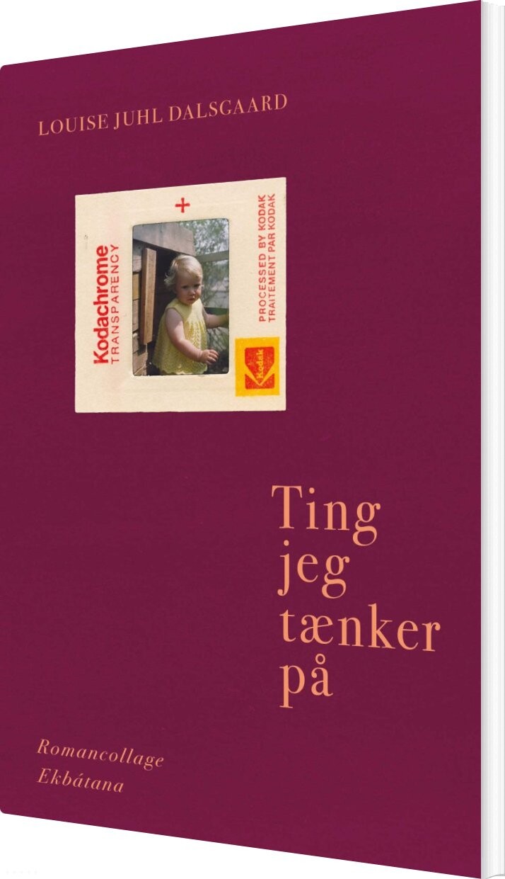 Billede af Ting Jeg Tænker På - Louise Juhl Dalsgaard - Bog