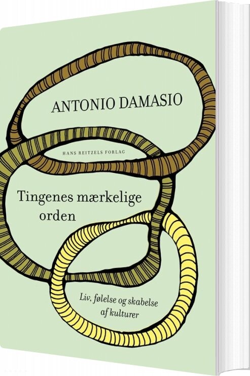 Billede af Tingenes Mærkelige Orden - Antonio Damasio - Bog
