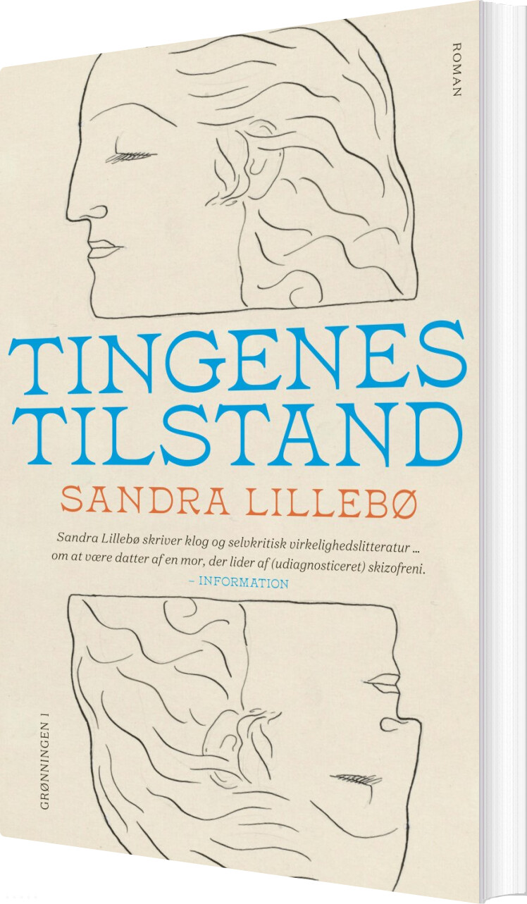 Billede af Tingenes Tilstand - Sandra Lillebø - Bog