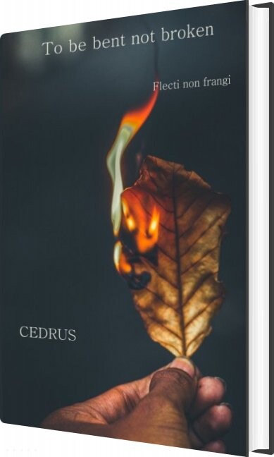 Billede af To Be Bent, Not Broken - Cedrus Poetry - English Book