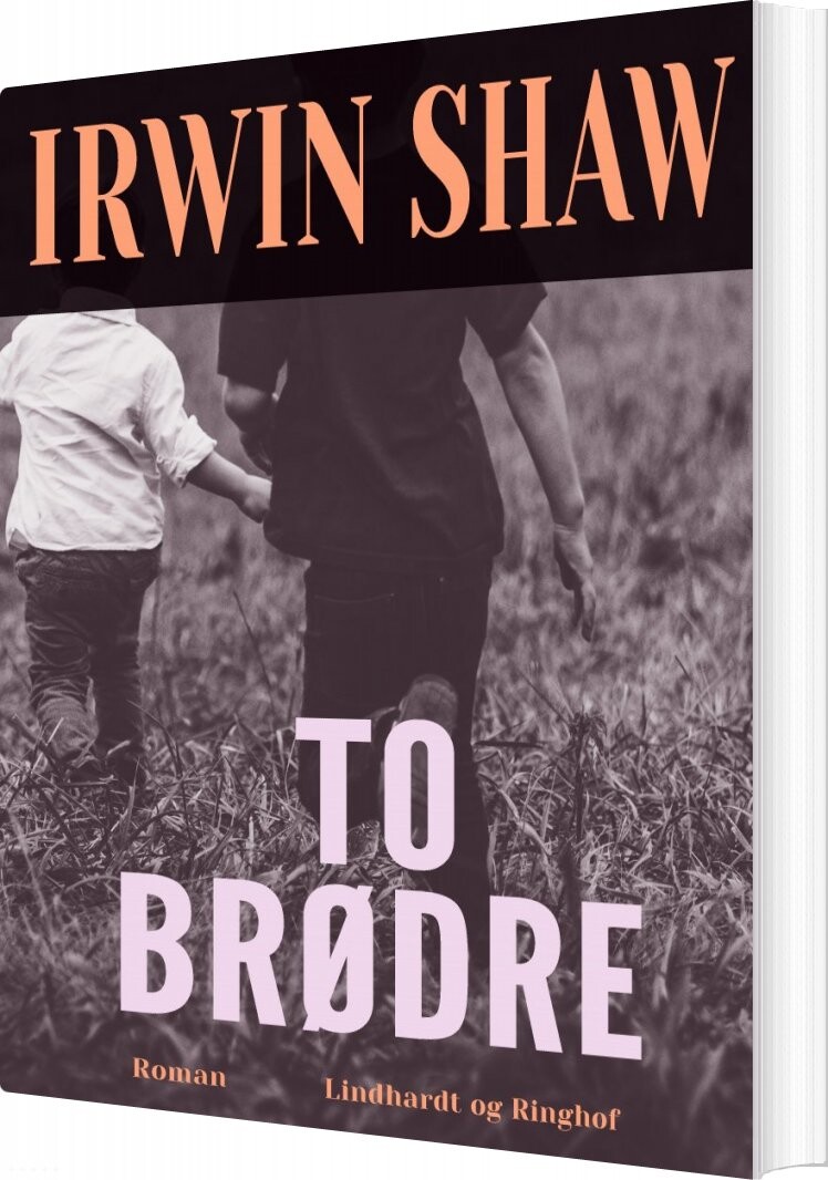 To Brødre - Irwin Shaw - Bog