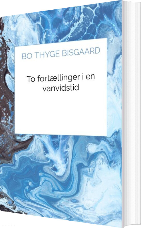 To Fortællinger I En Vanvidstid - Bo Thyge Bisgaard - Bog