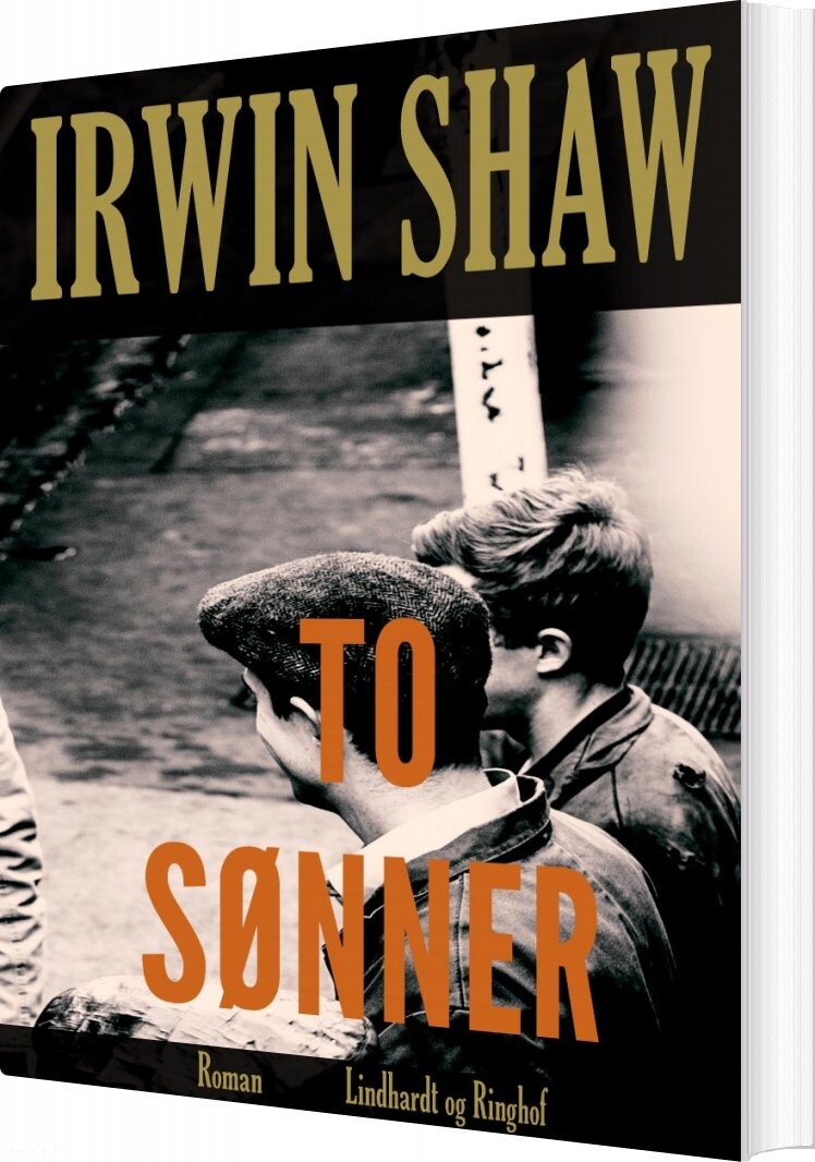 To Sønner - Irwin Shaw - Bog