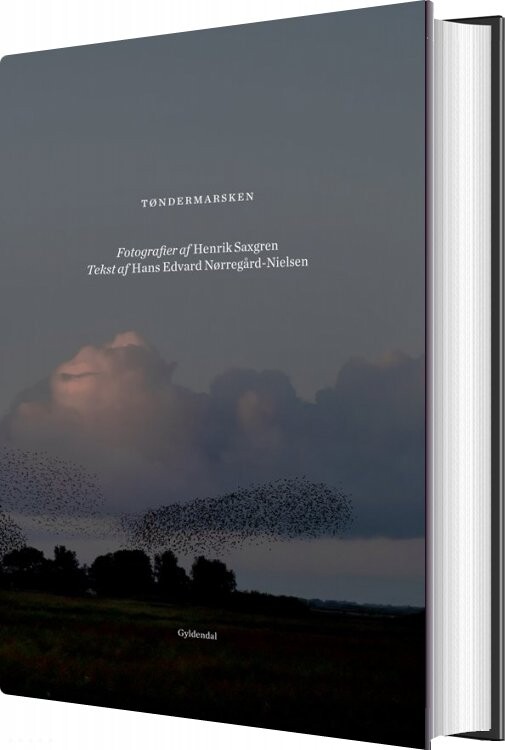 Tøndermarsken - Hans Edvard Nørregård-nielsen - Bog