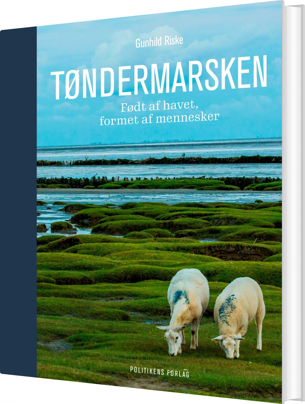 Tøndermarsken - Gunhild Riske - Bog