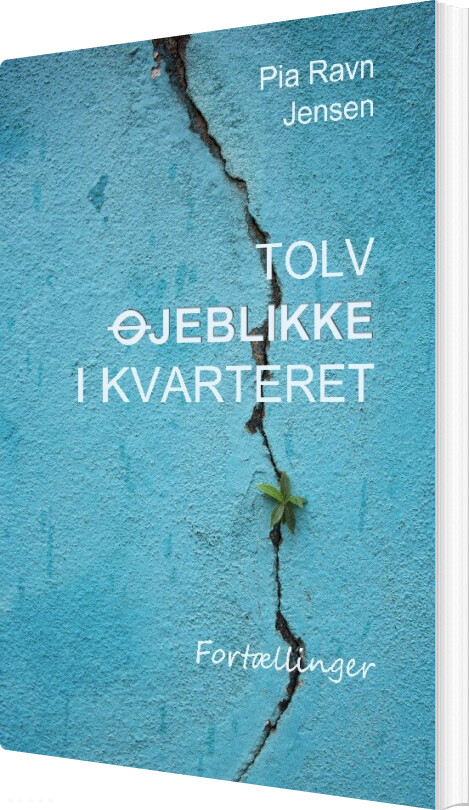 Tolv øjeblikke I Kvarteret - Pia Ravn Jensen - Bog