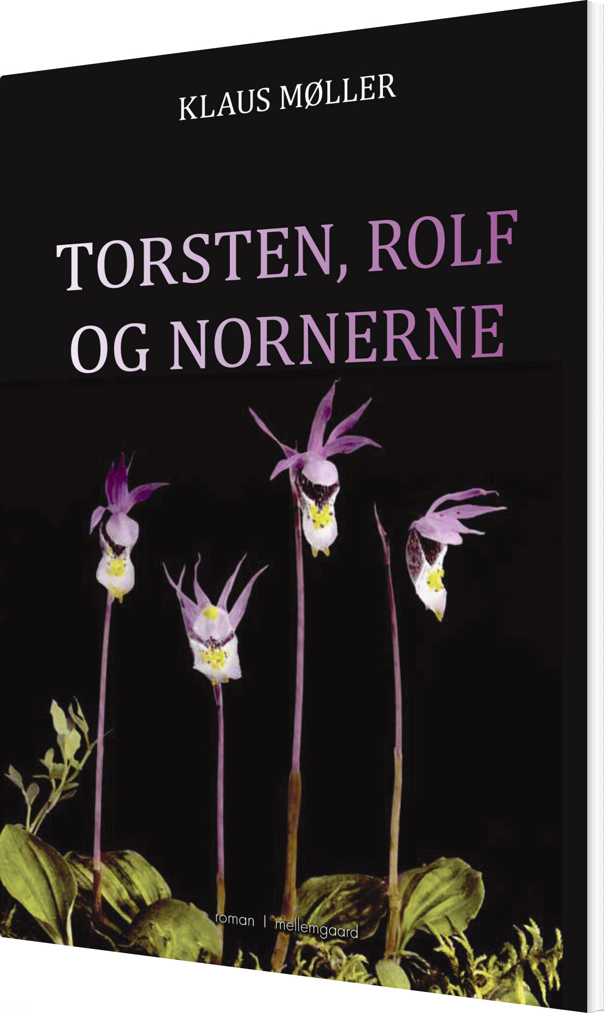 Torsten, Rolf Og Nornerne - Klaus Møller - Bog