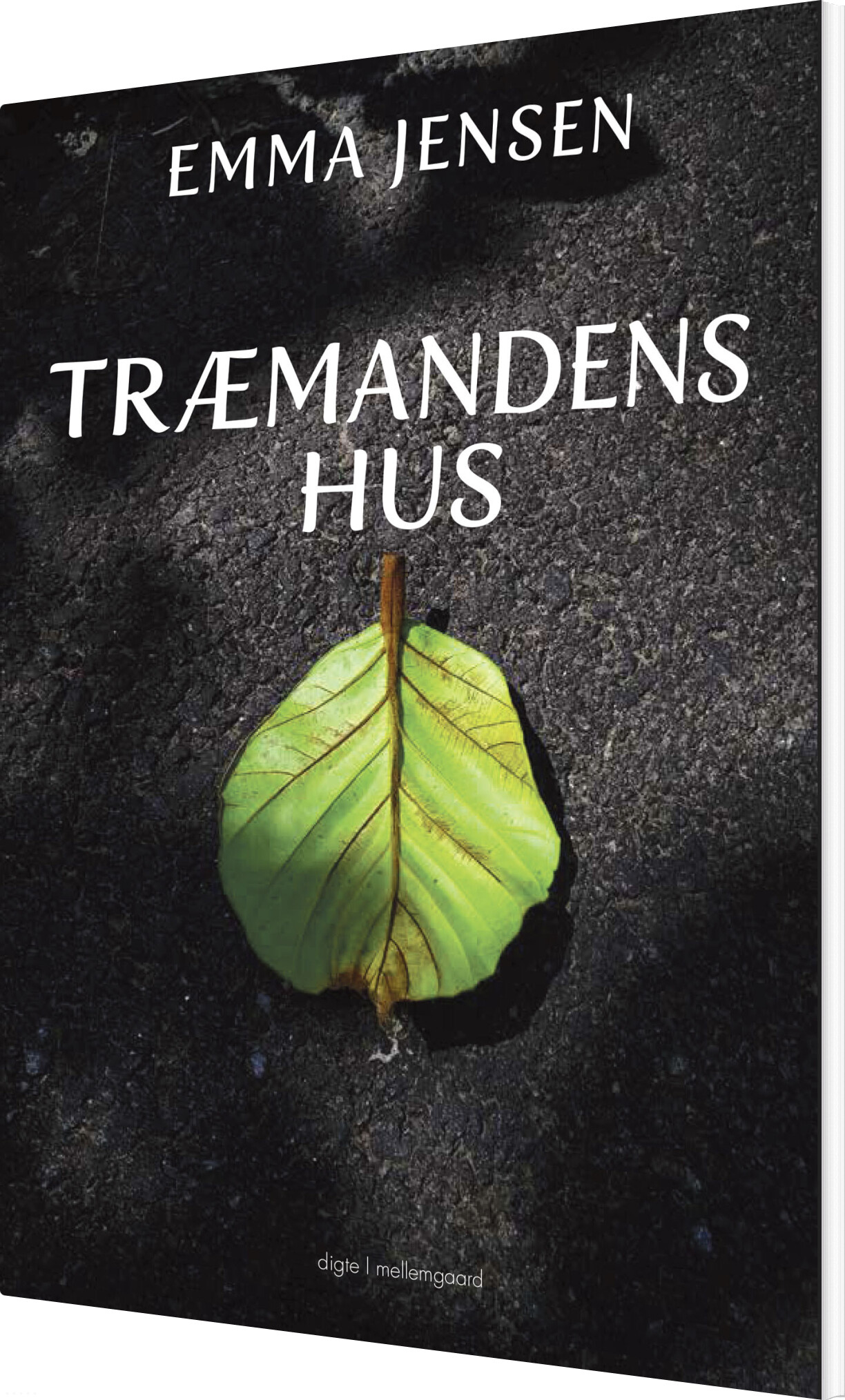 Træmandens Hus - Emma Jensen - Bog