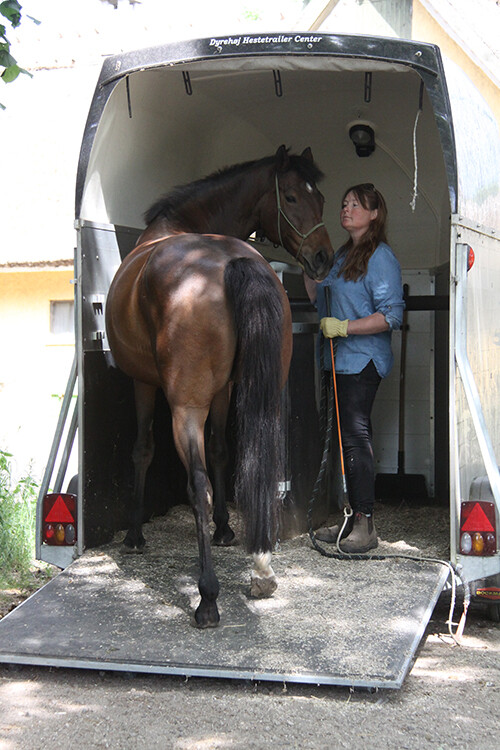 Trailertræning - Pia W. K. Svane - Bog
