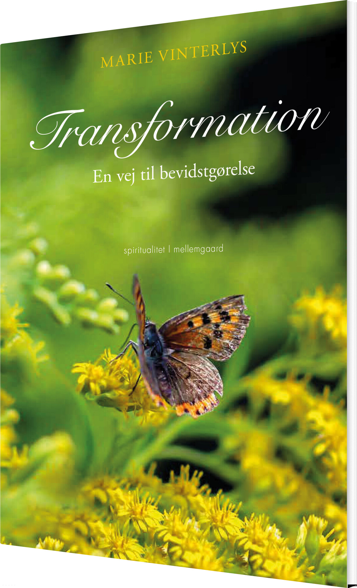 Transformation - Marie Vinterlys - Bog