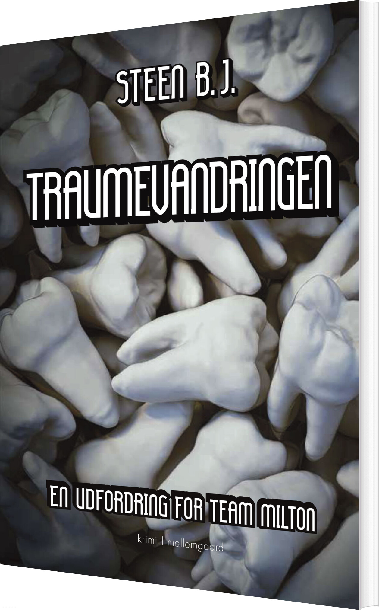 Traumevandringen - Steen B.j - Bog