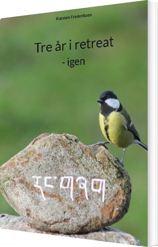 Tre år I Retreat - Karsten Frederiksen - Bog