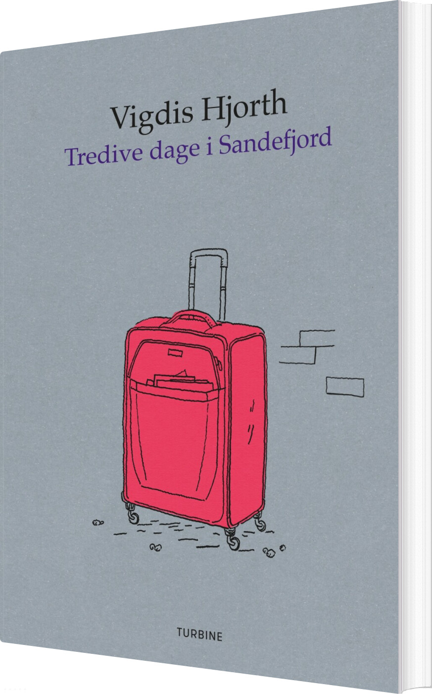 Tredive Dage I Sandefjord - Vigdis Hjorth - Bog