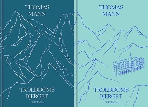 Billede af Trolddomsbjerget - Thomas Mann - Bog